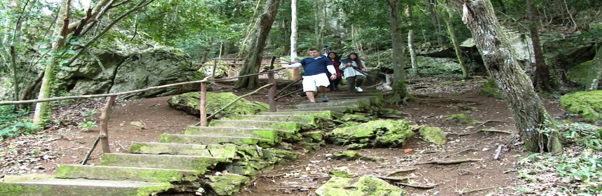 Chemin vers la cascade de Soroa, Artemisa, Cuba Travel